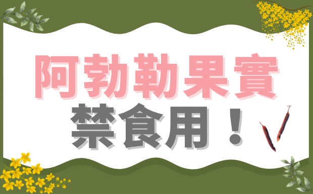 阿勃勒果實禁食用！減肥聖品其實有毒！