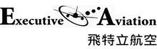 飛特立航空公司