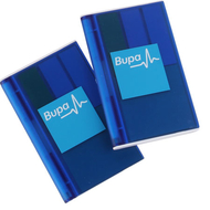 Raffles-Health-Insurance-Private-Limited-c-o-Bupa-Global