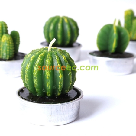 禮品訂造盆栽植物蠟燭紀念品