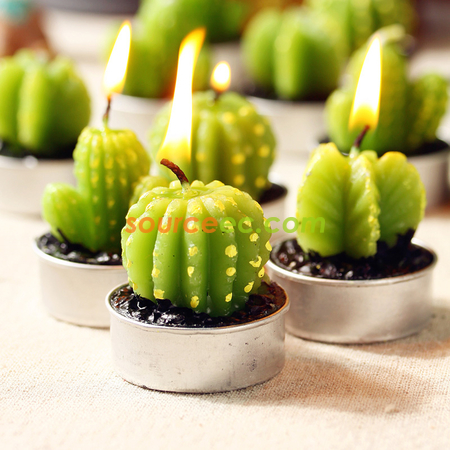 禮品訂造盆栽植物蠟燭紀念品