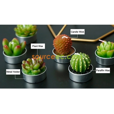 禮品訂造盆栽植物蠟燭紀念品