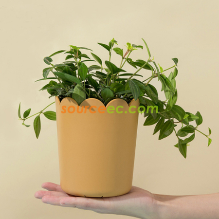 禮品訂造花瓣口花盆紀念品