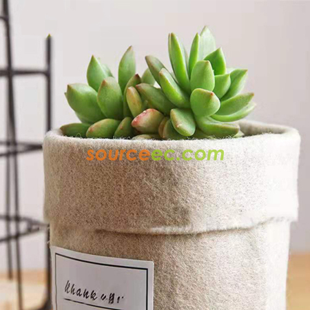 禮品訂造毛氈花盆紀念品