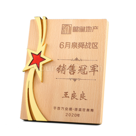 禮品訂造金屬五星獎牌紀念品