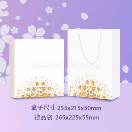 禮品訂造風扇充電商務套裝紀念品