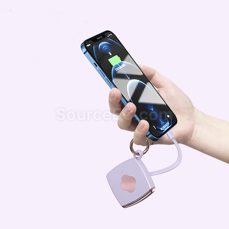 禮品訂造迷你應急移動電源紀念品
