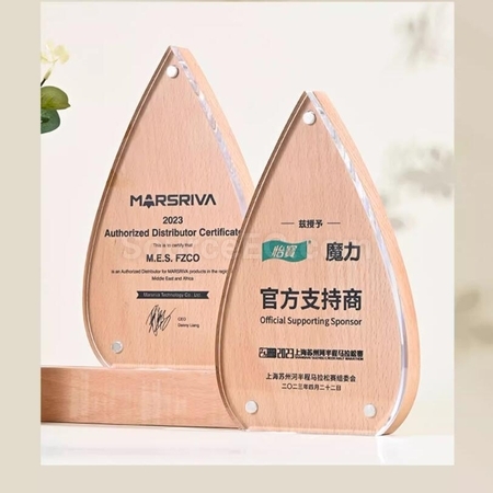 禮品訂造創意水滴實木亞克力獎座紀念品