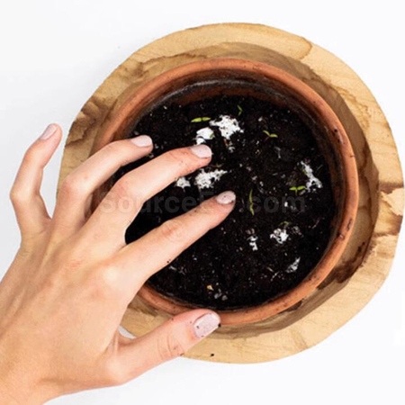 禮品訂造種子紙獎牌紀念品