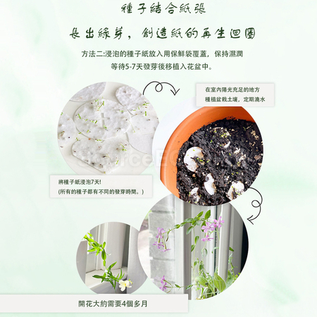 禮品訂造種子紙徽章紀念品