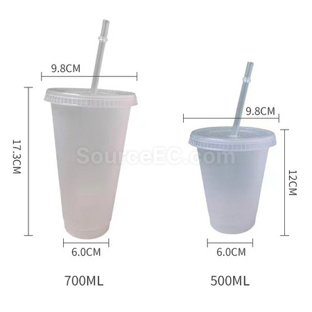 禮品訂造PP粗吸管杯紀念品