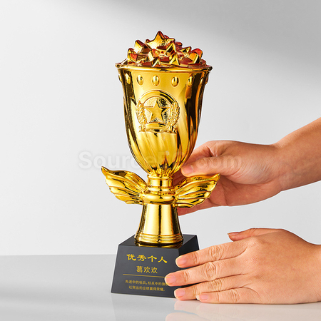 禮品訂造花朵星星水晶獎盃紀念品