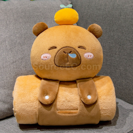 禮品訂造卡通抱枕毯子兩用二合一紀念品