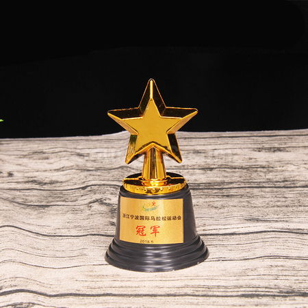禮品訂造塑料星星獎座紀念品
