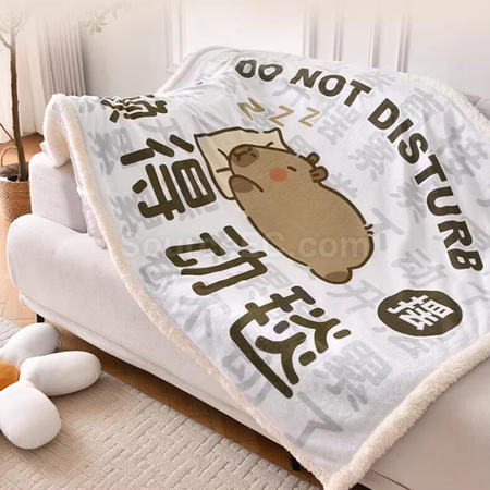 禮品訂造電熱毛毯紀念品