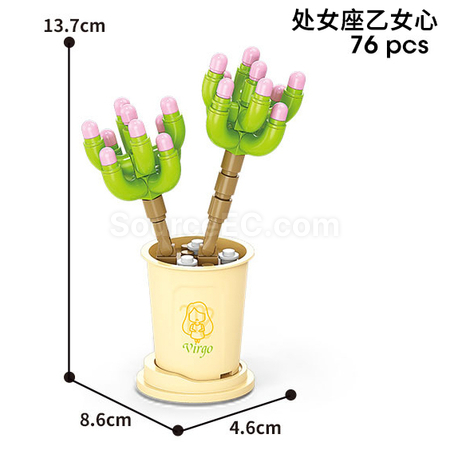 禮品訂造咖啡杯植物系列積木-12星座多肉植物系列紀念品