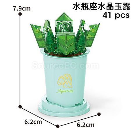 禮品訂造咖啡杯植物系列積木-12星座多肉植物系列紀念品