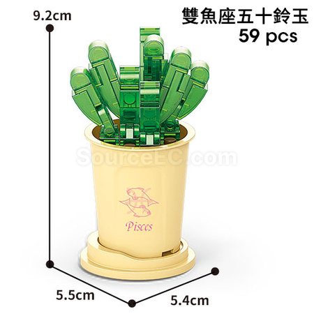 禮品訂造咖啡杯植物系列積木-12星座多肉植物系列紀念品