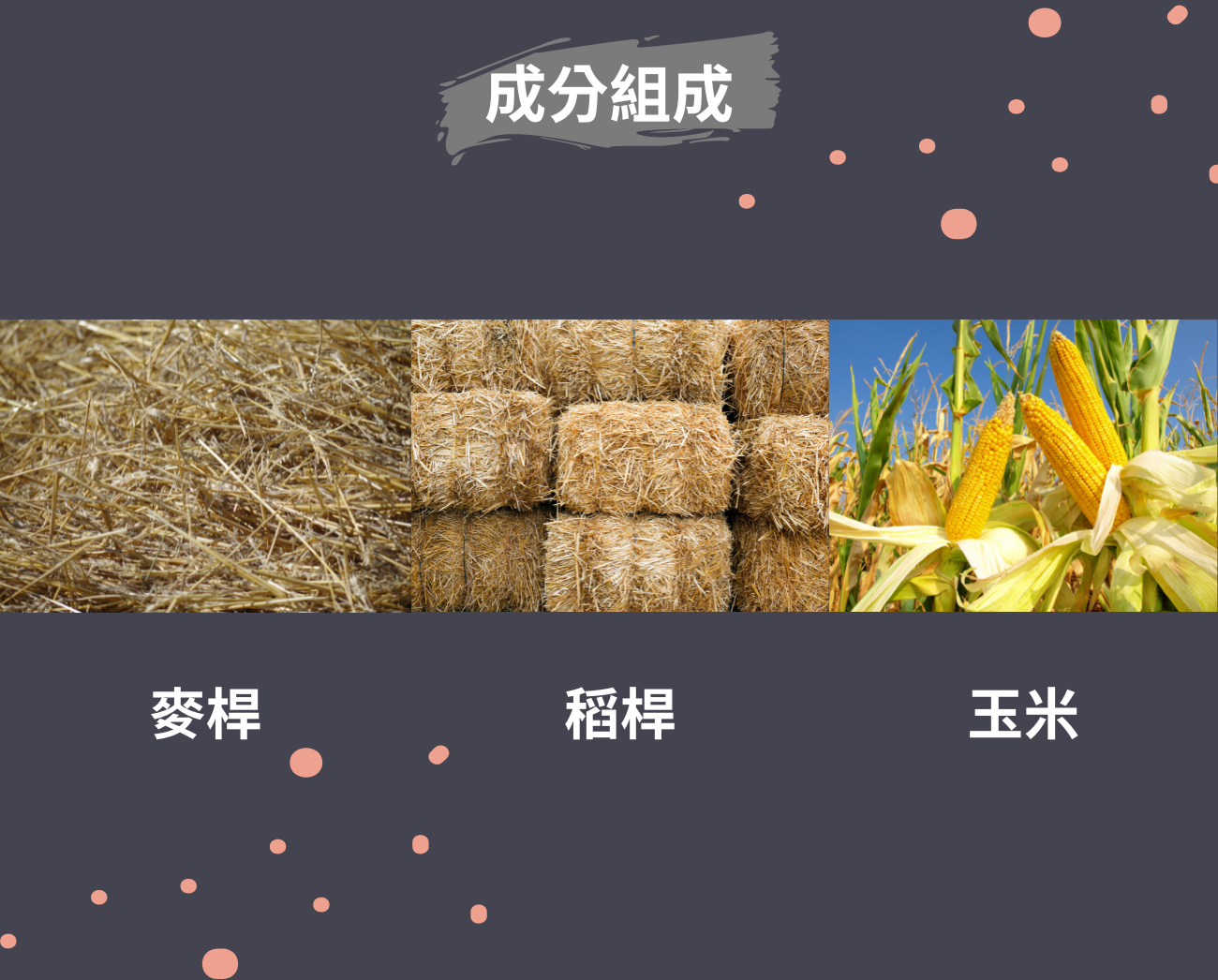 露營折疊餐具