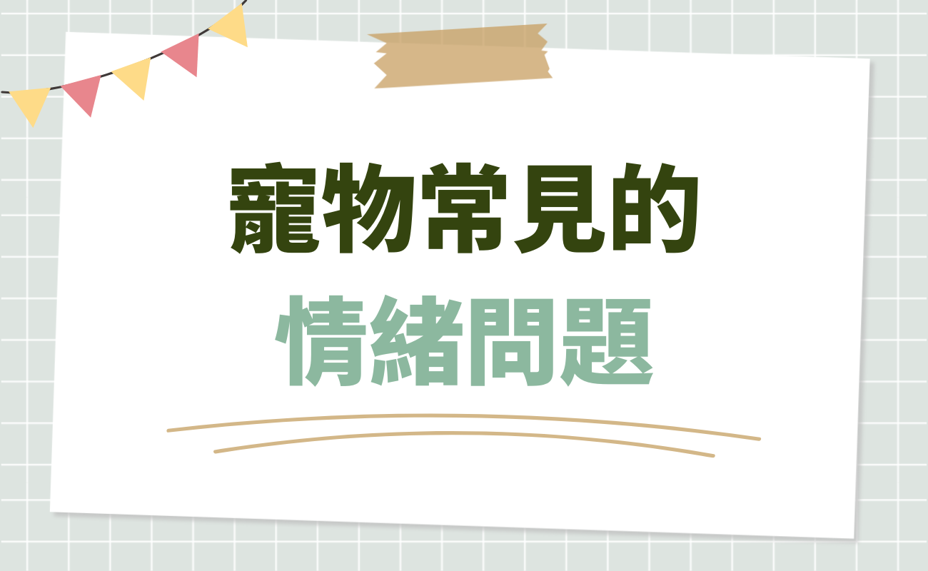 寵物常見的情緒問題