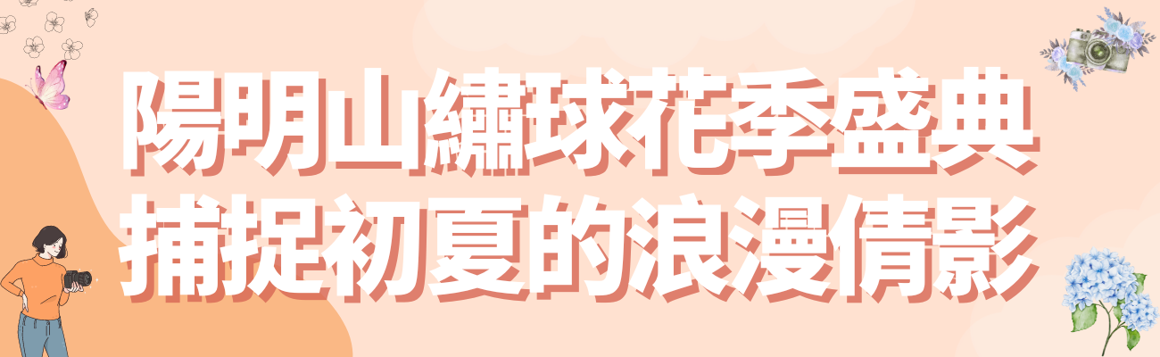 繡球花季
