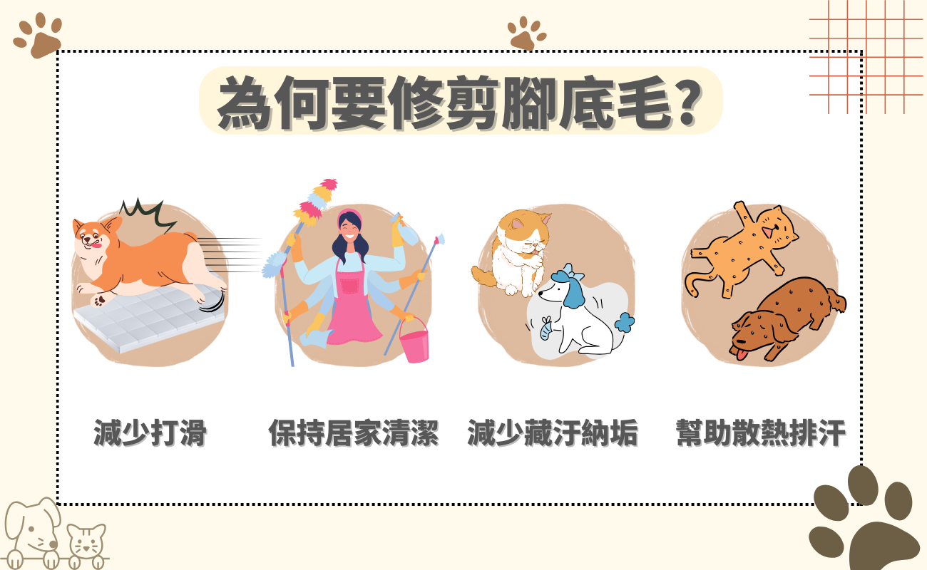 寵物腳底毛修剪