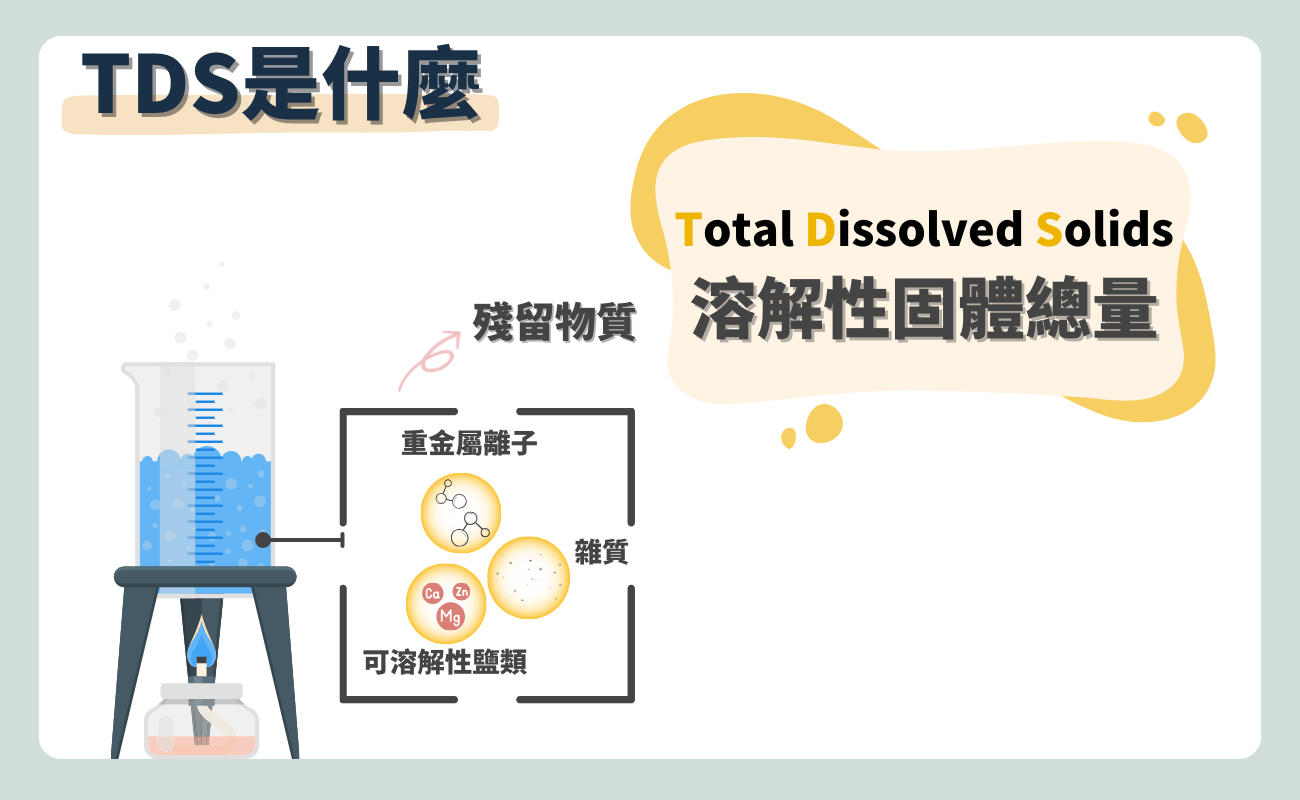 TDS是什麼