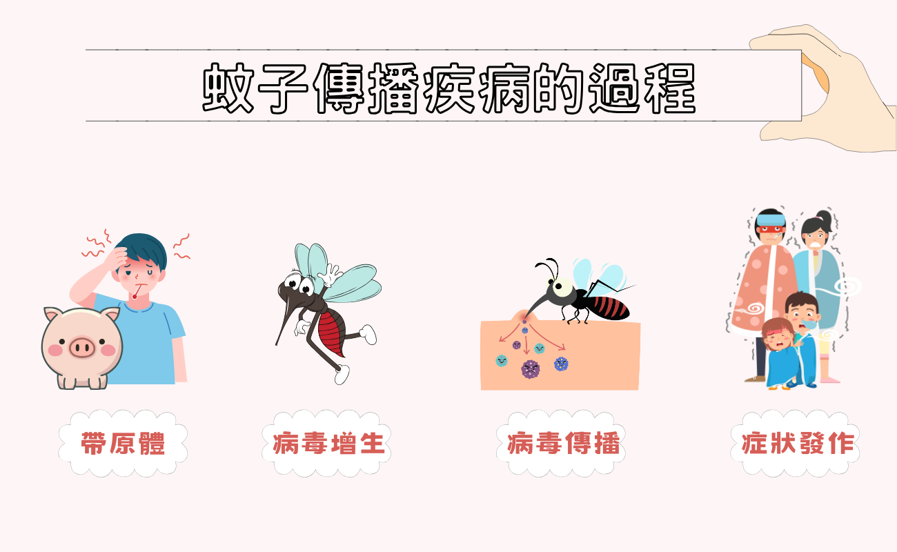 蚊蟲傳染病