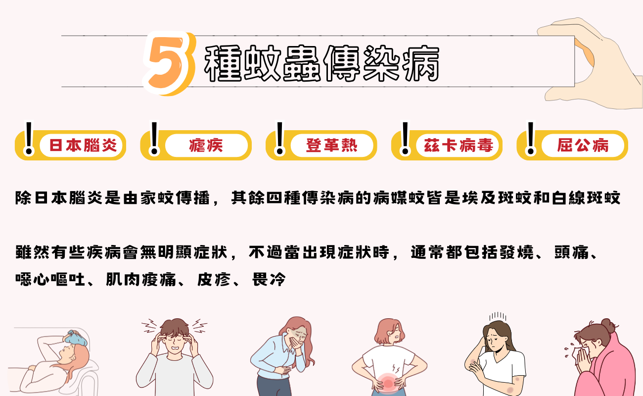 蚊蟲傳染病