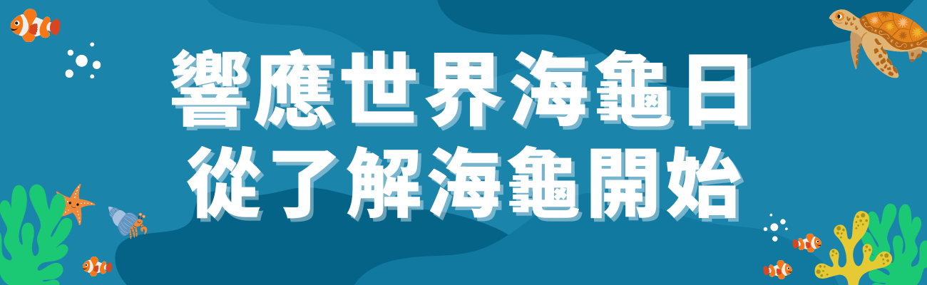 世界海龜日