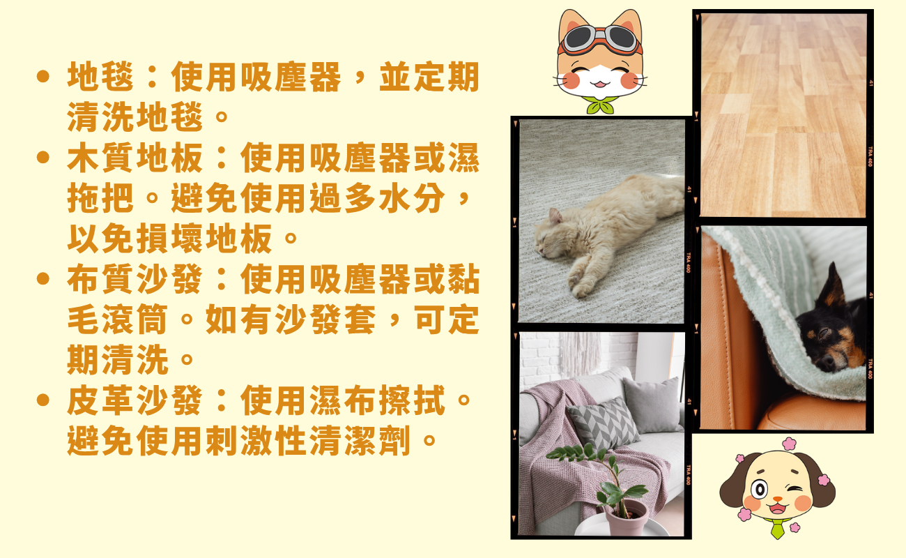 寵物掉毛, 除毛, 過敏, 客製化禮品, 家居禮品, 寵物用品, 寵物禮品