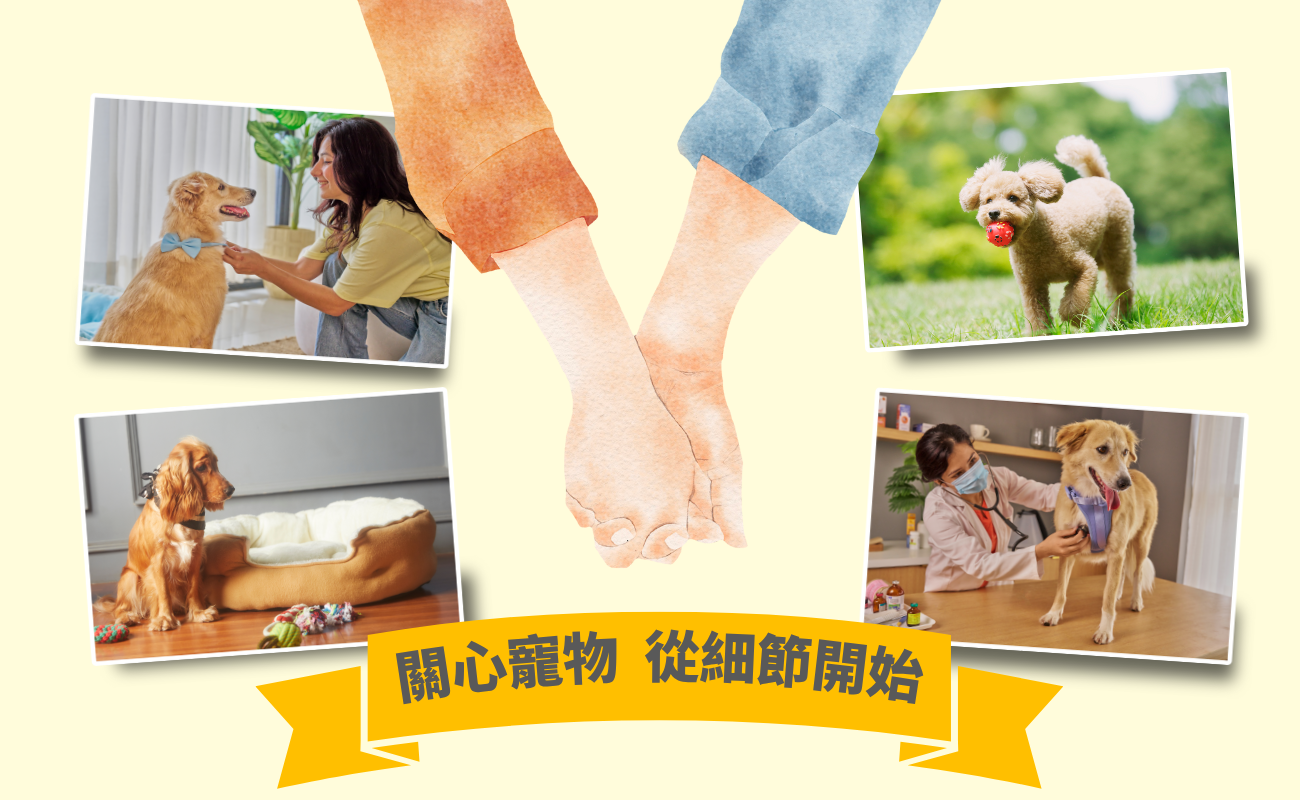 貓狗抑鬱, 寵物情緒療癒, 客製化寵物禮品, 狗狗禮物推薦, 貓咪禮物推薦, 毛孩療癒禮物, 企業寵物禮品, 寵物用品訂製