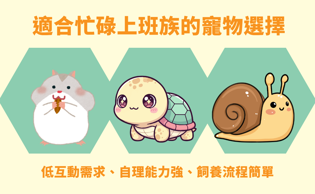 寵物客製化禮品, 狗狗禮品, 貓咪禮品, 爬蟲類禮品, 客製化禮物