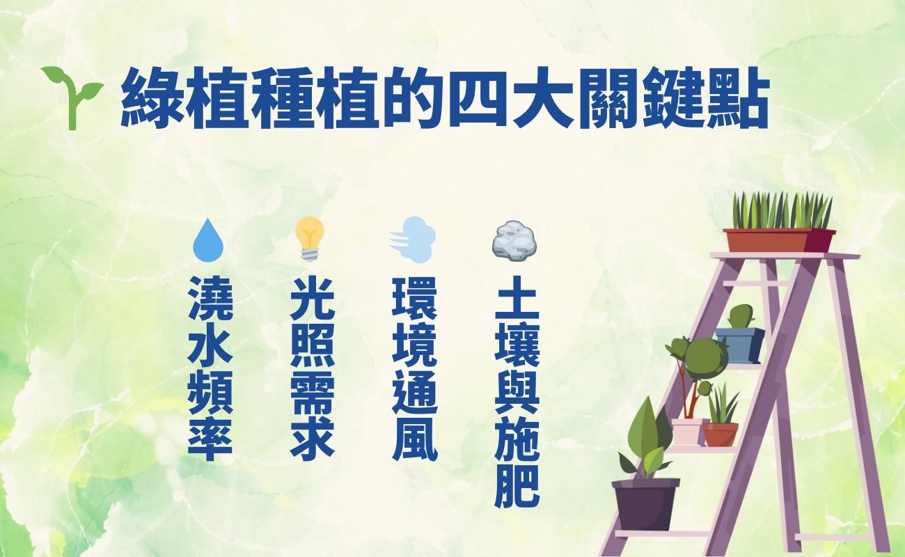 仿真植物, 客製化盆栽, 辦公室綠植, 療癒禮品, 綠植盆栽