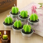 盆栽植物蠟燭